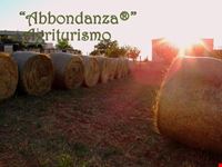 Il Fieno - Abbondanza®